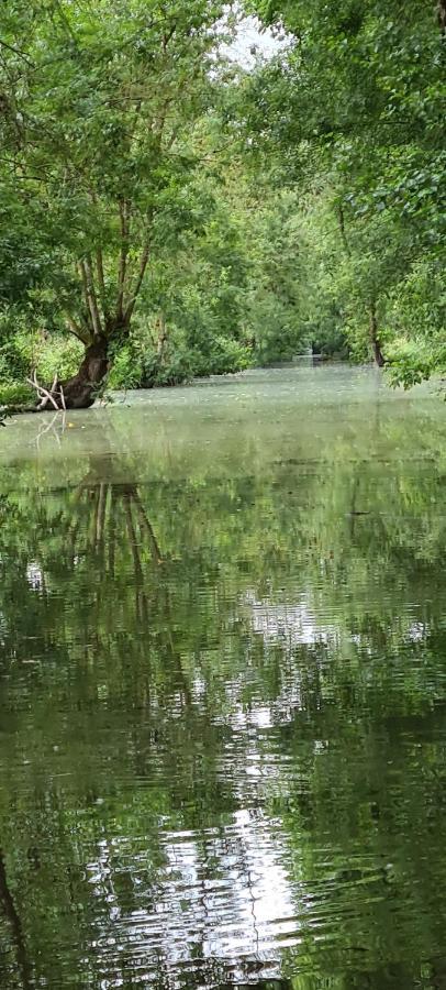 L'Enclos Bleu, Gite - Marais Poitevin Avec Piscine Chauffee Chaille-Les-Marais Bagian luar foto